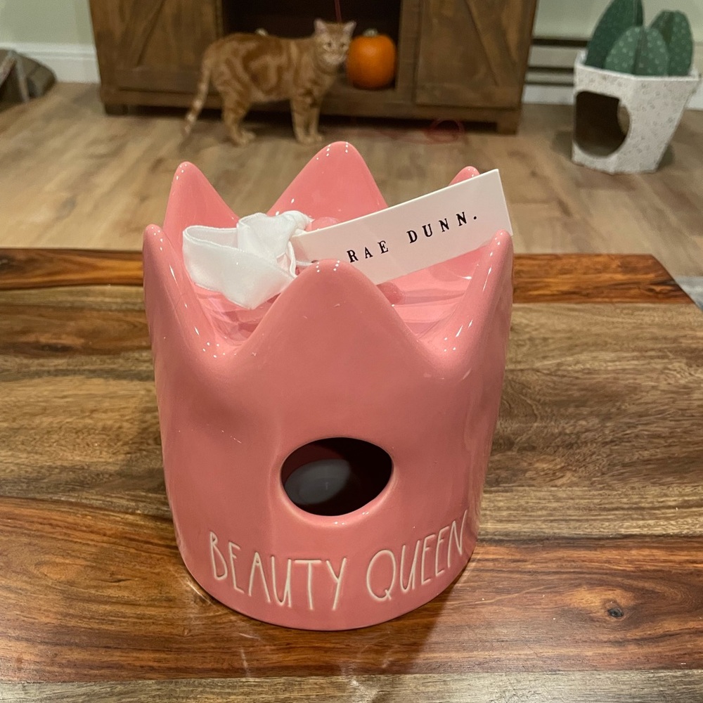 Rae Dunn Birdhouse